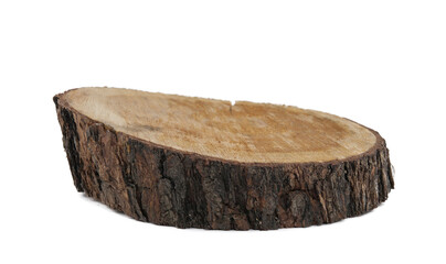 Wooden saw cut of an old birch, top view, cutting board