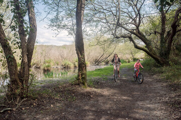 Obraz premium bike, family, bicycle, mother, child, nature, forest, cycling, sport, cyclist, happiness, pleasure, together, woman, park, couple, path, biking, walking, road, mountain, people, outdoors, walk, young,