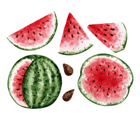 watercolor illustration of juicy watermelon on white background. hand drawn fruit