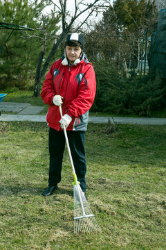 The woman works in the country. Aeration and lawn cleaning with a large rake. Gardening to improve the quality of the lawn and grass growth.