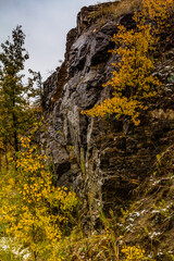 Fall colours around Vermillion Lakes, Banff National Park, Alberta, Canada