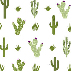 Vector simple simple drawing with cactuses on a white background