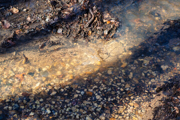 A spring stream of melt water flows over the muddy ground with the remnants of snow.