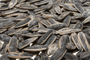 sunflower seeds isolated