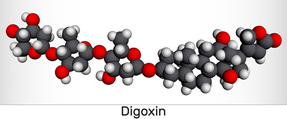 Digoxin, molecule. It is cardiac glycoside, cardiovascular medication, used to manage atrial fibrillation and symptoms of heart failure. Molecular model. 3D rendering