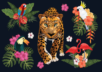 tropical paradise elements isolate leafs fruits and birds