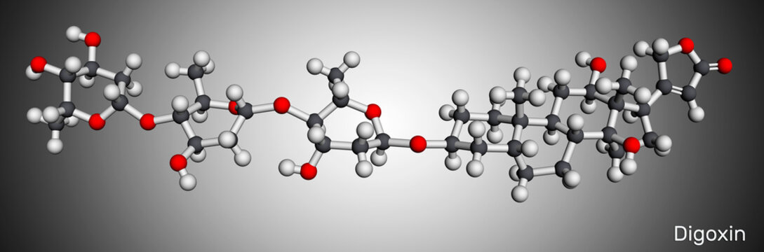Digoxin, molecule. It is cardiac glycoside, cardiovascular medication, used to manage atrial fibrillation and symptoms of heart failure. Molecular model. 3D rendering