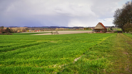 Hike in a beautiful landscape near Billerbeck,but a thunderstorm is coming.