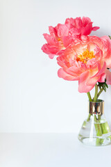 A bouquet of fresh beautiful coral peonies close up on the white background. 