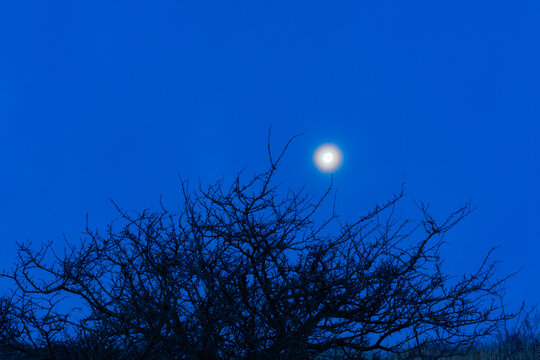 おぼろ月夜」の写真素材 | 102件の無料イラスト画像 | Adobe Stock