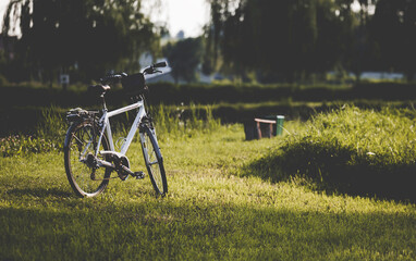 Biały rower stojący na zielonej trawie - obrazy, fototapety, plakaty