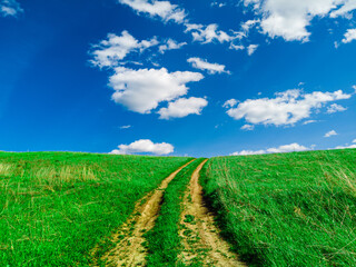 Fototapeta na wymiar Road in green field and blue sky with clouds