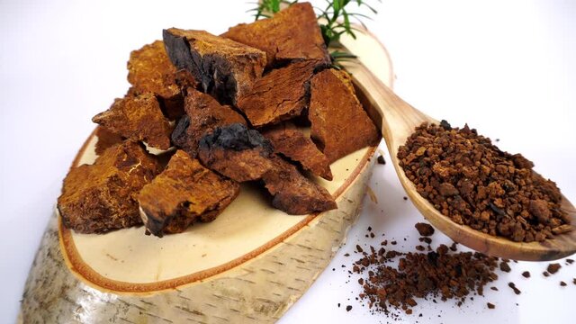 Chaga Mushroom and Powder on wooden Spoon isolated on white Background