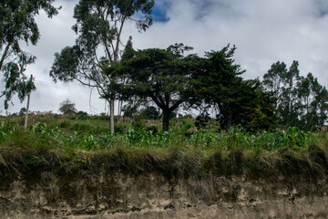 La sierra Ecuatoriana