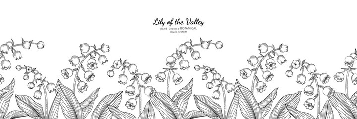 Seamless pattern Lily of the valley flower and leaf hand drawn botanical illustration with line art.