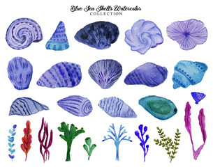 Blue Sea Shells Summer Watercolor
