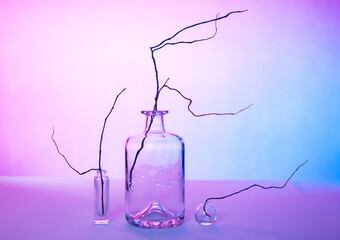 beautiful abstract composition (still life) made of bottles of different sizes made of clear glass and dry branches on a lilac-blue background