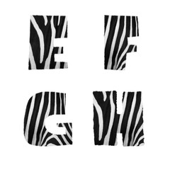 Zebra fur alphabet - letters E-H