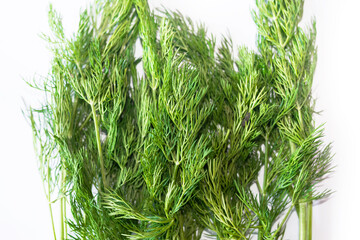  green dill on a white background