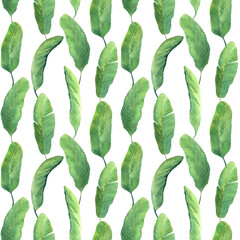 Seamless pattern from green banana leaves on a white background. Watercolor. Vertical