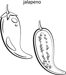 fruitsю,  vegetables