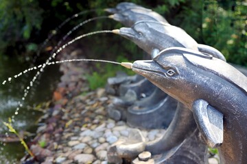 small jets of dolphin fountain