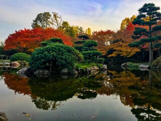 Colourful Japan garden and the beautiful sky