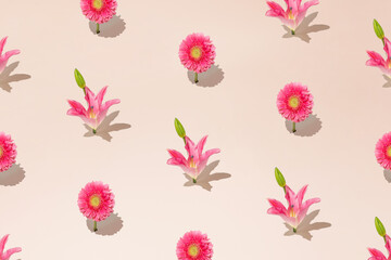 Spring and summer colorful pattern with pink flowers in full bloom and pale green buds on pastel beige background. Minimal blossom arrangement.
