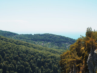 A mountain valley with a green deciduous forest, pine trees growing on a rocky cliff and a village in the distance against a blue sky with a light olive haze