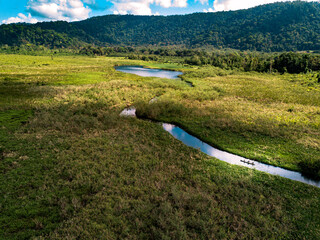 Aerial view of mangrove and lake in osa peninsula