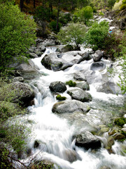 RIOS DE MONTAÑA SIERRA DE GREDOS