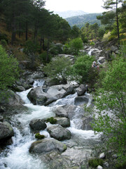 RIOS DE MONTAÑA SIERRA DE GREDOS