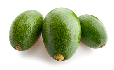 avocado path isolated on white