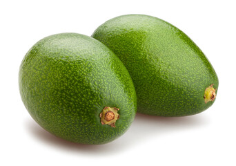 avocado path isolated on white