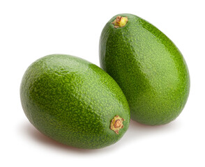avocado path isolated on white