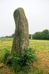 Prehistoric Menhir stones in a farm field in Bretagne France