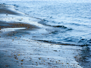 CARTAYA HUELVA LAGUNA EL PORTIL DETALLES