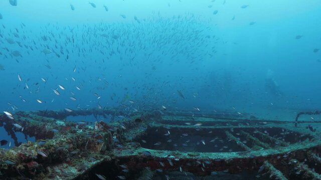 Underwater view of scuba divers exploring a colourful artificial reef of a sunken shipwreck teeming with schools of fish and tropical blue water