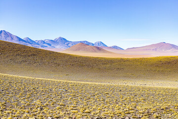 Open field in the Atacama Desert with mountains in the background