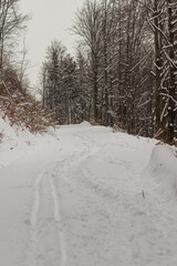 Fototapeta na wymiar Path in the forest at wintertime with fresh snow
