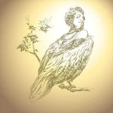 Woman bird, woman with wings, alkonost/sirin.
