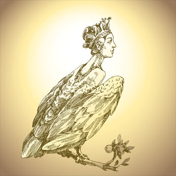 A female bird with woman's head in Baroque engraved style, Sirin.