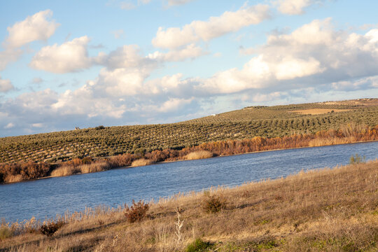 Laguna de Zonar nature reserve and leisure park in Aguilar de la Frontera southern Spain