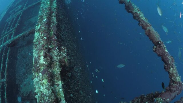 Unique scuba divers view swimming through a shipwreck revealing the recently scuttled Navy boat the Ex-HMAS Tobruk artificial reef