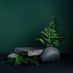 Luxurious empty product marble stone podium and forest green leaves on dark background. Concept...