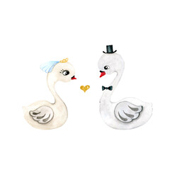 Wedding illustration with swans isolated on white background. Bride and groom.