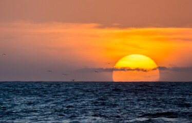Zachód słońca nad oceanem 