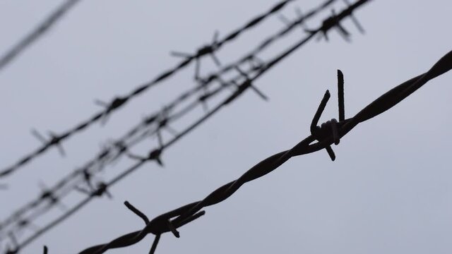 Barbed wire on the background of the gray sky. Illegal immigration concept, prison lifestyle, imprisonment, restricted area.