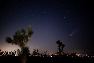 Californian desert with comet nowise along horizon in distance