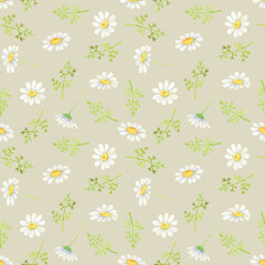 White daisy seamless pattern. Watercolor wildflower on beige background